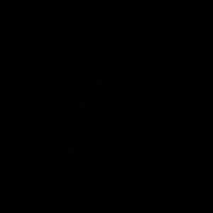 Meet your Posher, Merrill